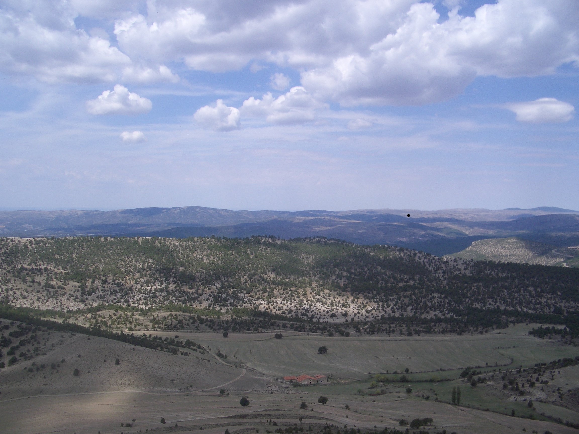 images/CIM/2009/olmedilla5.jpg