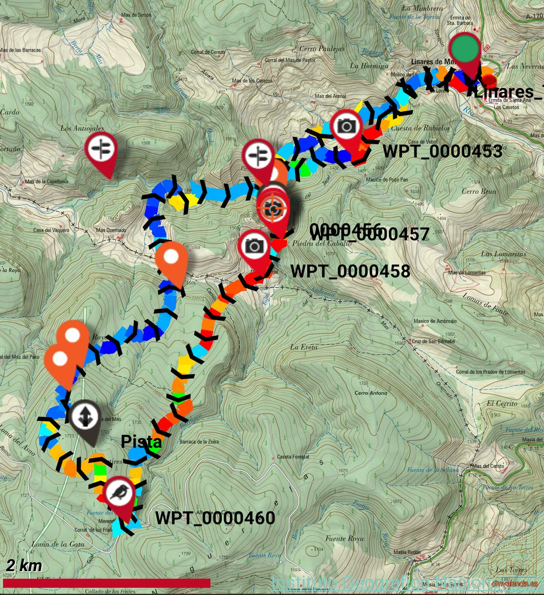 Ruta