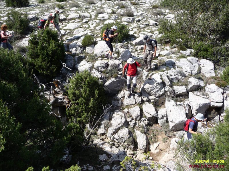 34/85 - 20091004-1346_JV0433_Olmedilla   (800x600, 145kB)
